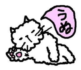 OK Nekone KO sticker #2434015