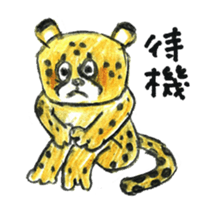 Willful cheetah [Chitata]. sticker #2436747