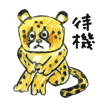 Willful cheetah [Chitata]. sticker #2436747