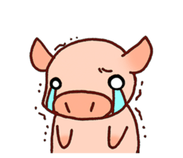 Everyday of miniature pig (response) sticker #2438009
