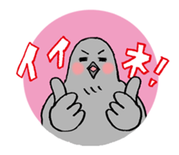 Pigeon or Human ? She is  Hatoco!! sticker #2440701