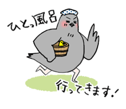 Pigeon or Human ? She is  Hatoco!! sticker #2440709