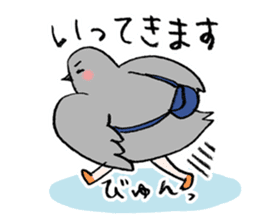 Pigeon or Human ? She is Hatoco!! sticker #2440719
