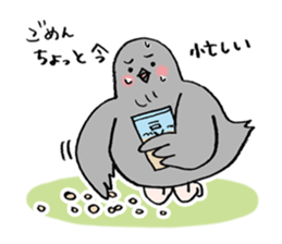Pigeon or Human ? She is  Hatoco!! sticker #2440722