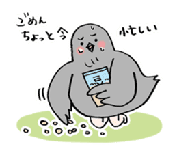 Pigeon or Human ? She is Hatoco!! sticker #2440722