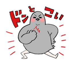 Pigeon or Human ? She is  Hatoco!! sticker #2440726