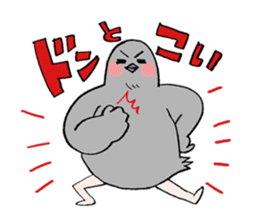 Pigeon or Human ? She is Hatoco!! sticker #2440726