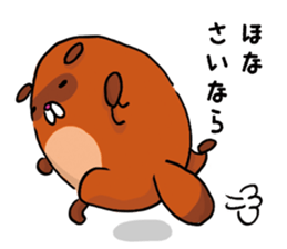 Fox & Raccoon dog in Kyoto sticker #2440978