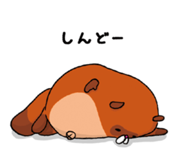 Fox & Raccoon dog in Kyoto sticker #2440979