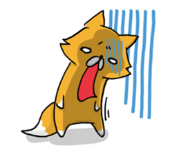 Fox & Raccoon dog in Kyoto sticker #2440989