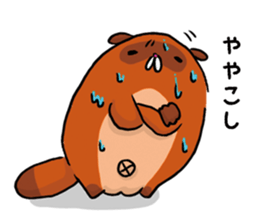 Fox & Raccoon dog in Kyoto sticker #2440991