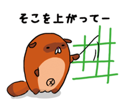 Fox & Raccoon dog in Kyoto sticker #2441006