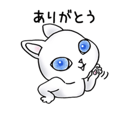 Blue eyes cat "Maiko"& "Ataru" sticker #2441536