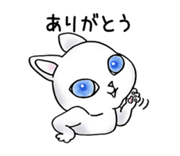 Blue eyes cat "Maiko"& "Ataru" sticker #2441536
