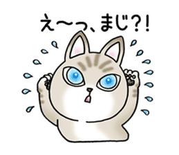 Blue eyes cat "Maiko"& "Ataru" sticker #2441541