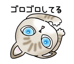 Blue eyes cat "Maiko"& "Ataru" sticker #2441543
