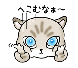 Blue eyes cat "Maiko"& "Ataru" sticker #2441555