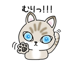 Blue eyes cat "Maiko"& "Ataru" sticker #2441556