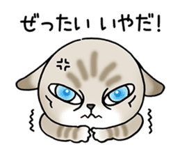 Blue eyes cat "Maiko"& "Ataru" sticker #2441558