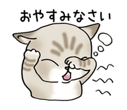 Blue eyes cat "Maiko"& "Ataru" sticker #2441561