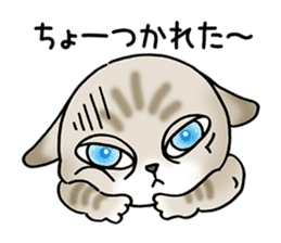 Blue eyes cat "Maiko"& "Ataru" sticker #2441563
