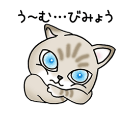 Blue eyes cat "Maiko"& "Ataru" sticker #2441564