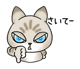 Blue eyes cat "Maiko"& "Ataru" sticker #2441566