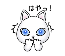 Blue eyes cat "Maiko"& "Ataru" sticker #2441568