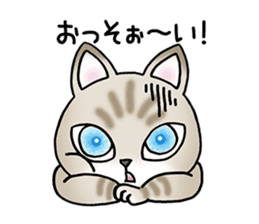 Blue eyes cat "Maiko"& "Ataru" sticker #2441569