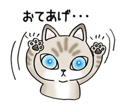 Blue eyes cat "Maiko"& "Ataru" sticker #2441574