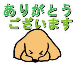 Sticker of Miniature Dachshund 2 sticker #2442985