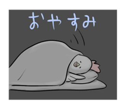 Broiler sticker #2443009