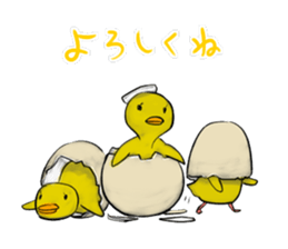 Broiler sticker #2443016