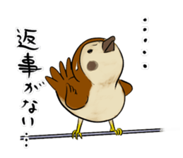 Broiler sticker #2443022