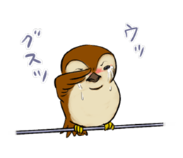 Broiler sticker #2443023