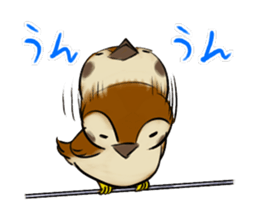 Broiler sticker #2443024