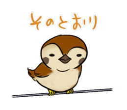 Broiler sticker #2443025