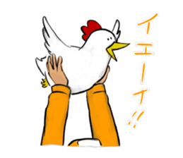 Broiler sticker #2443033