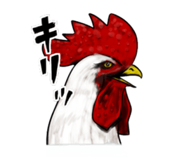 Broiler sticker #2443038