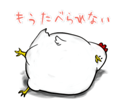 Broiler sticker #2443040