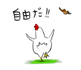 Broiler sticker #2443043