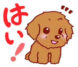 Sticker of the Toy Poodle. sticker #2444288
