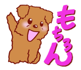 Sticker of the Toy Poodle. sticker #2444289