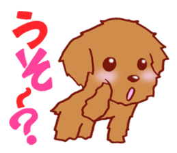 Sticker of the Toy Poodle. sticker #2444293