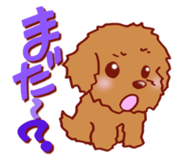 Sticker of the Toy Poodle. sticker #2444294