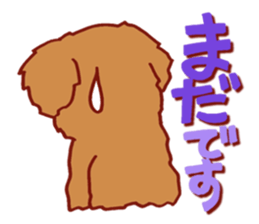 Sticker of the Toy Poodle. sticker #2444295