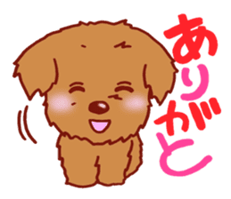 Sticker of the Toy Poodle. sticker #2444296