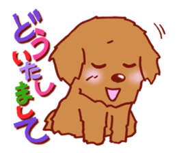 Sticker of the Toy Poodle. sticker #2444297