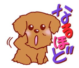 Sticker of the Toy Poodle. sticker #2444300