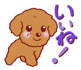Sticker of the Toy Poodle. sticker #2444301